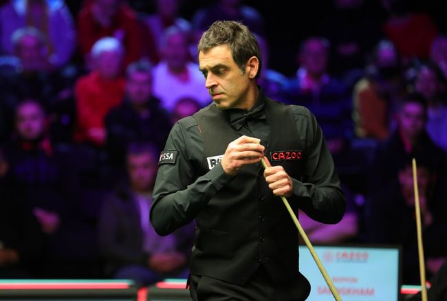 了解和热爱 了解和热爱