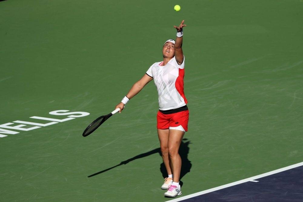 体育迷关注 体育迷关注