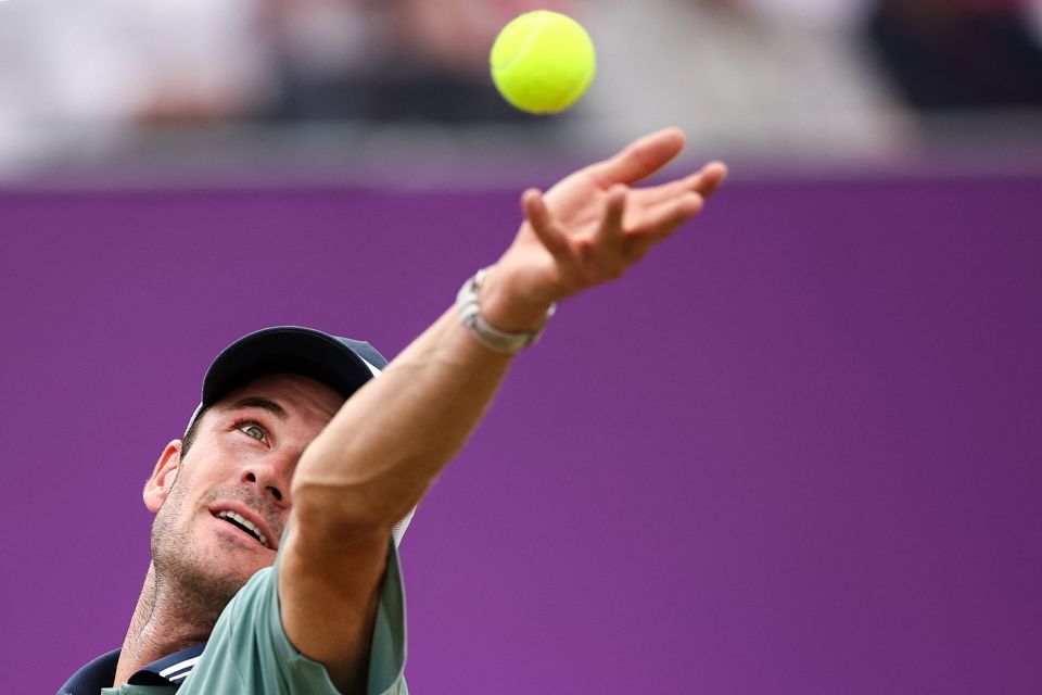 揭开哈兰德 揭开哈兰德